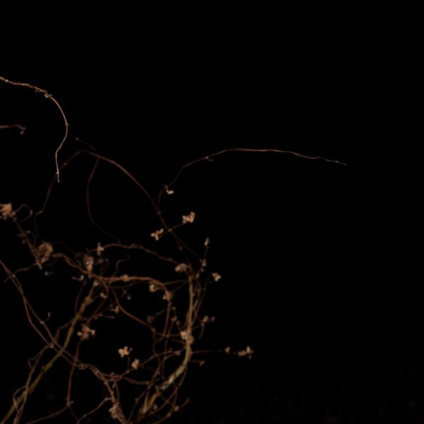 Irrlichter_05